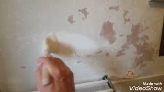 How To Stop Peeling Paint In A Bathroom Forever.