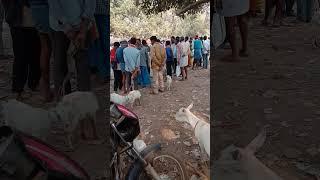 Ramgarh block Hatiya  video #viral #trending #sort