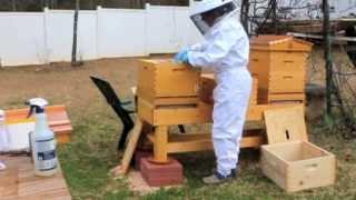 Donna's Adventures in BeeKeeping - Installing My First Package of Bees