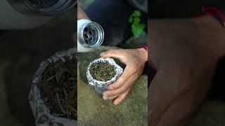 How to make tea in the forest with foil #funny #tea #video #shorts @VDSReality