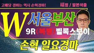 고배당 경마는 역시 손혁 경마 6/8(일)서울/부산 복병마 내용을 확인해 보세요!!