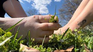 GETTING FEET OUTSIDE IN THE SUN AND GRASS IN THE SPRING