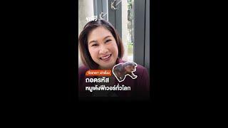 ถอดรหัส "หมูเด้ง" ฟีเวอร์ทั่วโลก | Thai PBS News