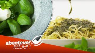 Das leckerste Pesto? Original Pesto Genovese | Abenteuer Leben | Kabel Eins