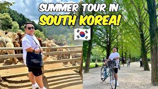 Let's go to Nami Island, Alpaca World, & Garden of the Morning Calm!  | Jm Banquicio