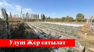 Ошто 47 сотых ҮЛҮШ ЖЕР сатылат. Суу, Свет баары бар экен️️