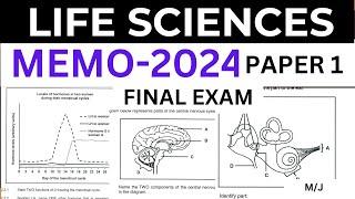 2024 MEMO FINAL EXAM LIFE SCIENCES SCIENCES P.1(PAPER 1) GRADE 12  M/J [THUNDEREDUC] BY M.SAIDI