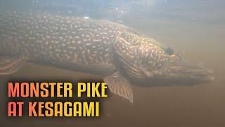 Ontario Big Pike Fishing at Kesagami Wilderness Lodge!