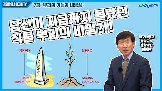 [정영만의 J 아그로TV] 당신이 몰랐던 식물 뿌리의 비밀! (7강 뿌리의 기능과 내병성)