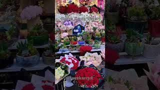 Bursa çiçek Pazarı - 20 Şubat 2024 - #turkey #flowers #keşfet #shortvideo