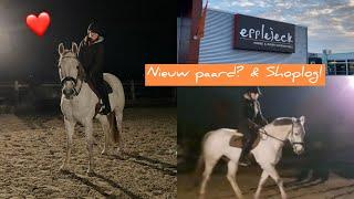 Een NIEUW PAARD?! + Shoplog van de NIEUWE EPPLEJECK! || Vds stables