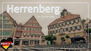 【Herrenberg①ドイツ】Walking in Herrenberg Germany / Day Trip from Stuttgart