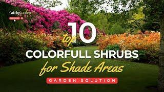 10 Shrubs That Will Add Color and Thrive in the Shade  // Gardening Tips