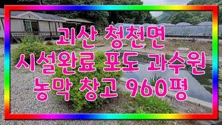 괴산 청천면 시설완료 비닐하우스 포도밭 960평 #주말쉼터 #괴산토지 #괴산임야 #괴산농가주택 #괴산농막 #괴산전원주택 #괴산지상권 #괴산부동산 #중개사언니