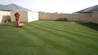 Starting a Lawn From Scratch | Seeding A Lawn