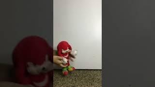 Knuckles dance!!(First short(coffin dance-DigiNeko