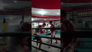 Liver Shots Combination in Boxing Sparring 
