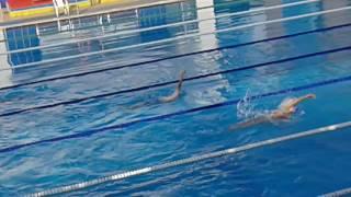 Devansh Parmar at khelmahakumbh 2016 u-14 200m back