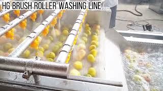 Brush roller apple fruit washing line potato washer machine