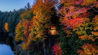 Autumn in the Adirondacks    Fall foliage Hunting from Glass Treehouse