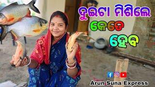 ଦୁଇଟା ମିଶିଲେ କେତେ ହେବ/ Arun Suna Express