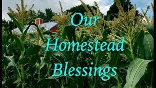 Our Homestead Blessings~