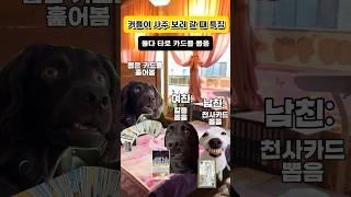 커플이 사주 보러 갈 때 특징🃏 #고양이밈