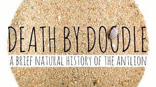 Death by Doodle: A Brief Natural History of the Antlion
