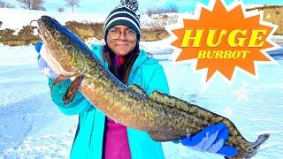 বিশাল বারবোট মাছ ধরা পরলো আঁখির বড়শিতে | Ice Fishing at Lake Diefenbaker | Saskatchewan, Canada