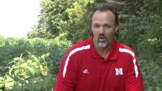 Identifying Phytophthora Root and Stem Rot of Soybean