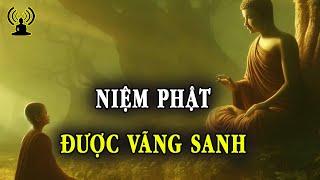 Bỏ tạp hạnh, chuyên niệm sáu chữ hồng danh - Lời Phật dạy