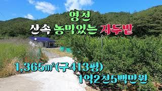 영천 산속 농막있는 주말농장-영천부동산