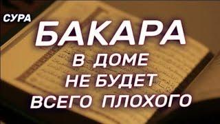 СУРА АЛЬ БАКАРА ЗАЩИТА ВАС И ВАШЕГО ДОМА ОТ ВСЕГО ПЛОХОГО, СЛУШАЙТЕ КАЖДЫЙ ДЕНЬ.