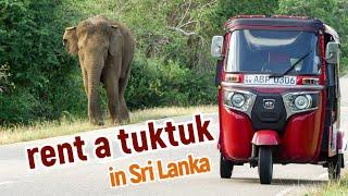 The BEST way to travel Sri Lanka! / Rent a tuktuk