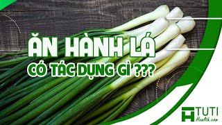 9+ TÁC DỤNG CỦA HÀNH LÁ BẠN NÊN BIẾT | ĂN HÀNH LÁ CÓ TỐT KHÔNG