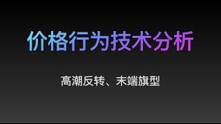 [Steven]价格行为, 高潮反转、末端旗型（17）专业价格行为教学视频, Price Action 全套教程