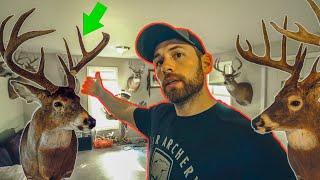 BUCKS from the PAST!  THP House Tour and BOW GIVEAWAY!