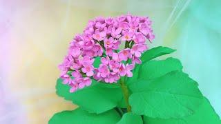 ABC TV | How To Make Kalanchoe Pinnata Flower From EVA Foam - Craft Tutorial