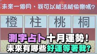 【命運占卜】測字占卜十月運勢！未來有哪些好運等著我？【晶璽生技-媚妳飲】