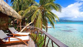 Beach Resort: 3 Hours of Hotel Ambience in The French Polynesian Islands