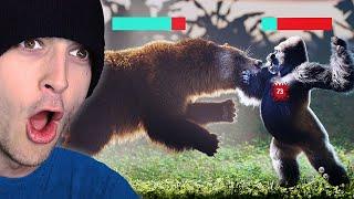 Silverback Gorilla VS Grizzly Bear?! (Reaction)