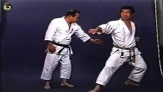 SHOTOKAN karate - The Nakayama - Heian Nidan Kata and Bunkai (Каратэ Шотокан Накоямы)