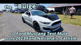 the Bulge Mustang Test Mule 2023 Ford Nationals Carlisle #mustang_fans #mustangs #fordnation