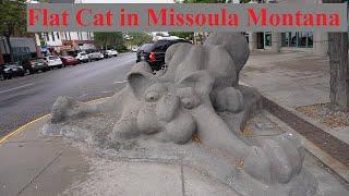 Flat Cat in Missoula Montana