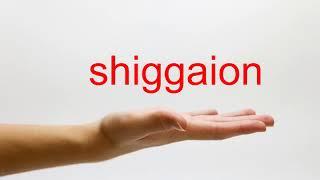 How to Pronounce shiggaion - American English