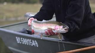 Stillwater Indicator fly line choices with Brian Chan