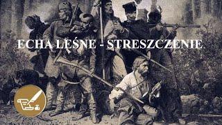 Echa Leśne - streszczenie (Stefan Żeromski)