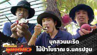 เรื่องเด็ดลุยเดี่ยว | บุกสวนมะริด ไม้ป่าโบราณ จ.นครปฐม | ข่าวเที่ยงอมรินทร์ | 17 พ.ย. 67