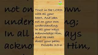 Trust in the lord with all your heart #bible quotes #christ #proverbs #thinkcreatelearn