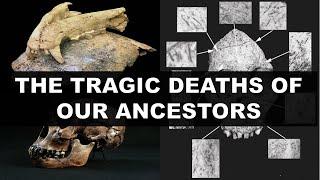 Ancient Human Ancestors And How They Died